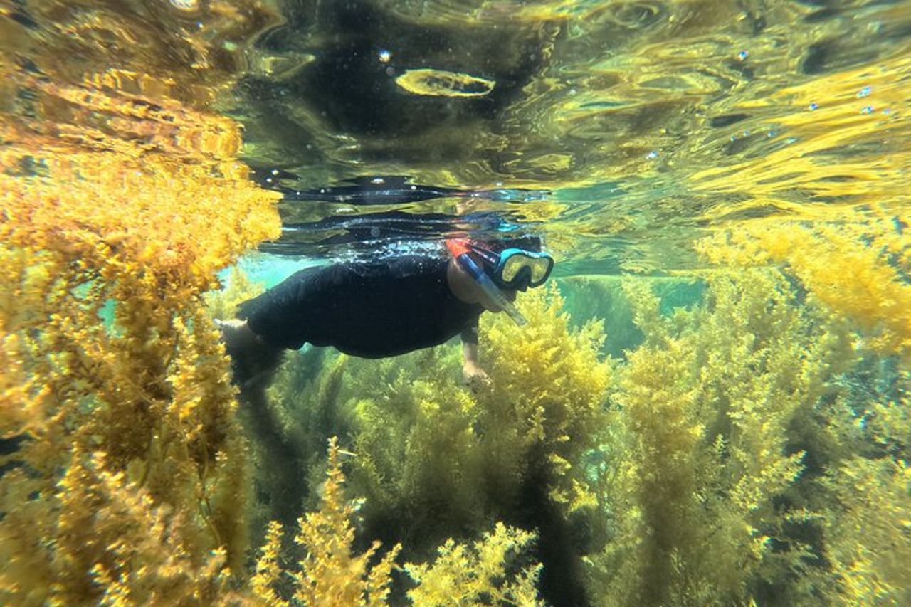 Avventura di snorkeling di mezza giornata a Nha Trang al Marine Park con barbecue — 3