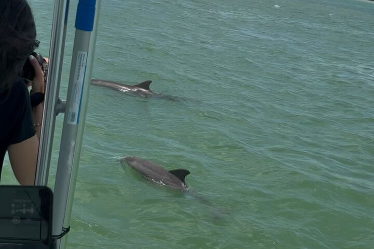 Crociera sulla fauna selvatica di Fort Myers Beach — 6