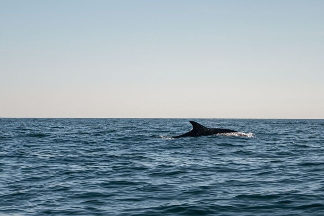 5Terre w Aperitivo&Snorkeling: Your Private Morning Tour — 4