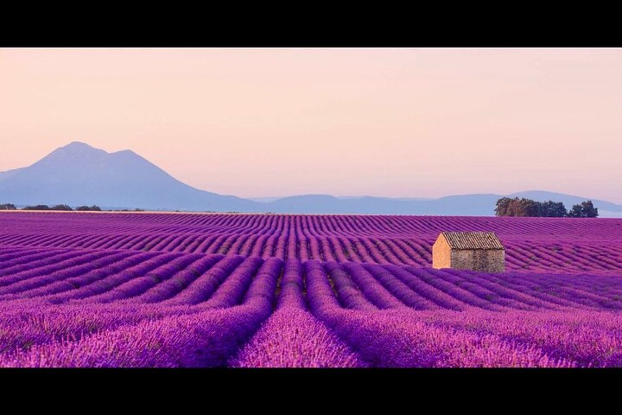Lavanda - Canyon del Verdon - Castellane - Moustier - Piccolo gruppo