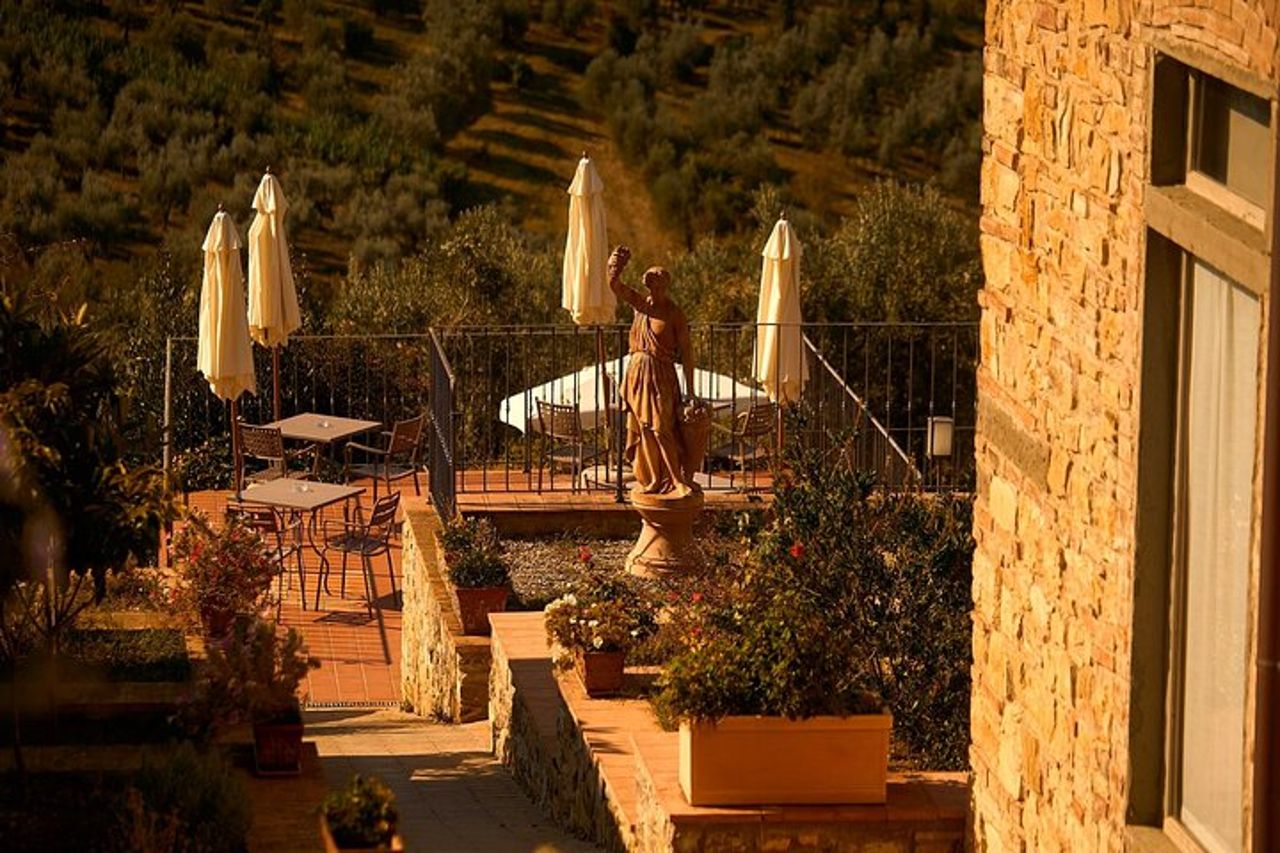 Firenze: Grande Strada del Vino e dell'Olio del Chianti con Pranzo — 5