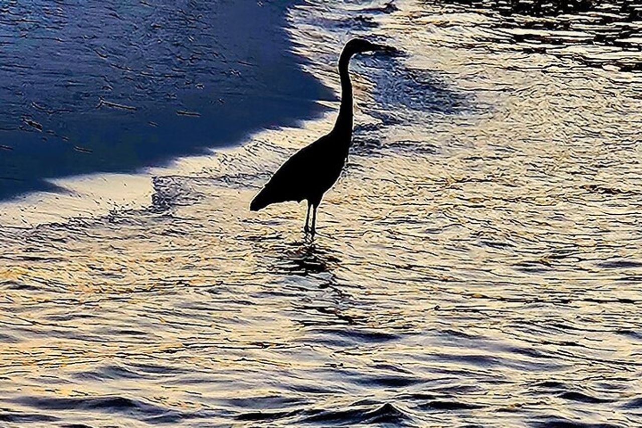 Crociera al tramonto nel porto e nella baia di Destin — 7