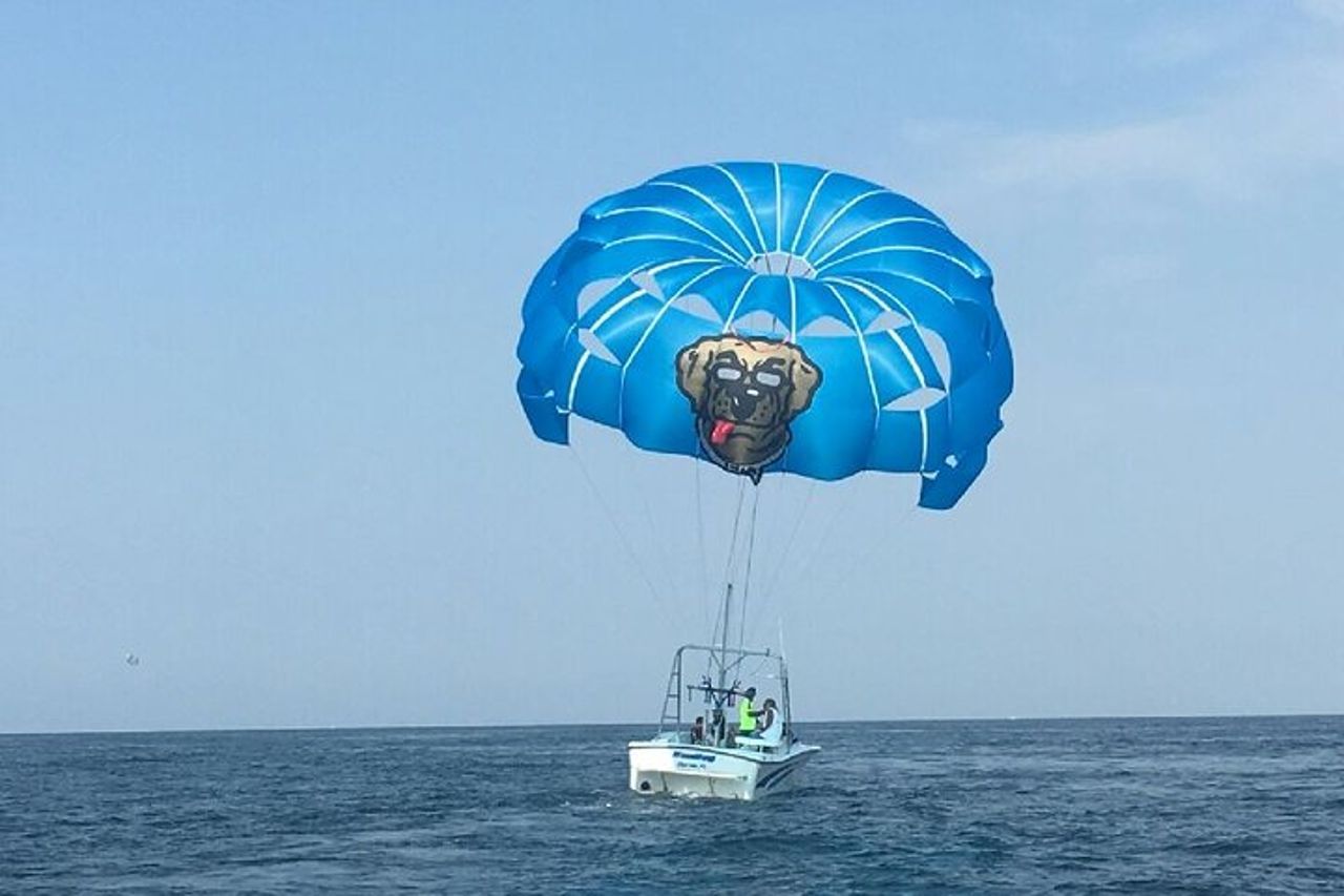 Tour in parapendio dei cani da sole a Destin Florida — 2