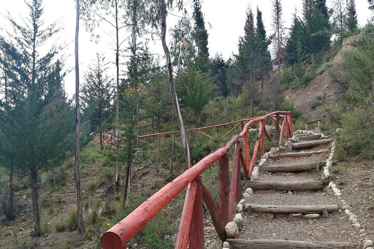 Escursione all'alba nel Parco Auquisamaña — 7