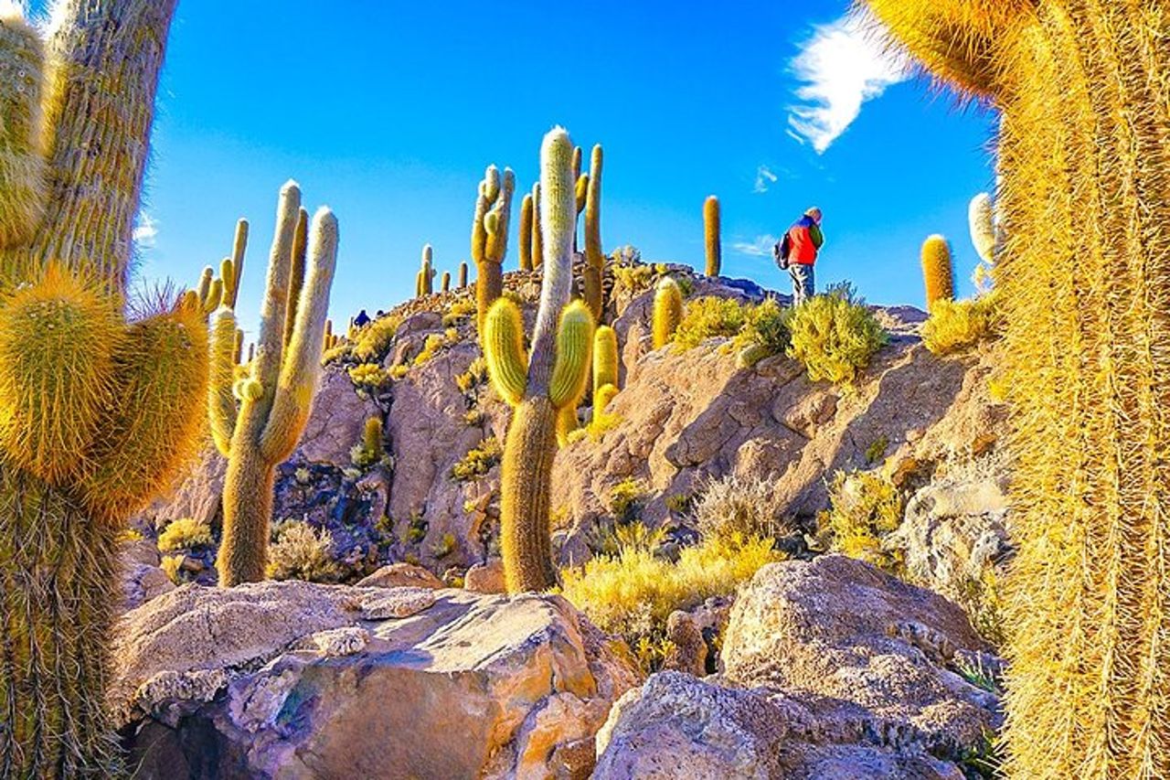 7 giorni di saline di Uyuni e avventura nel deserto da La Paz — 2