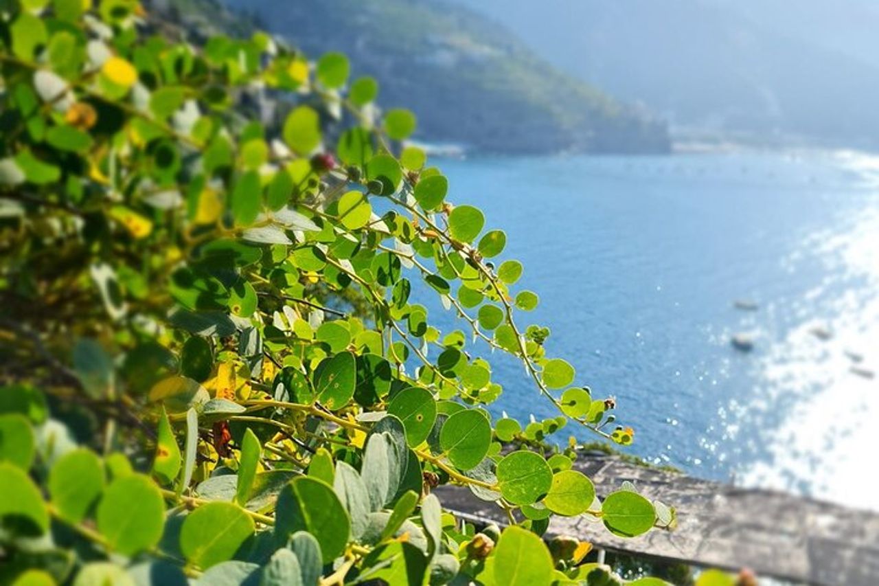 Esperienza Costiera Amalfitana: Lemons' Pathway e cena — 5
