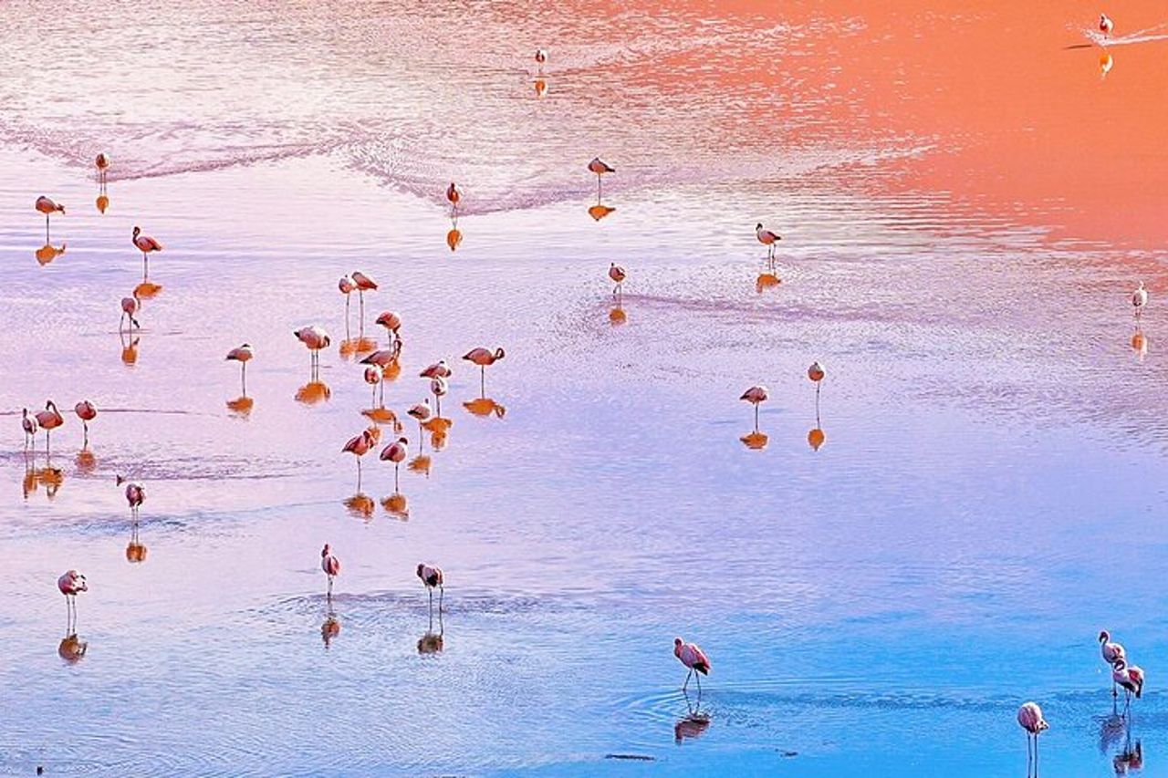 7 giorni di saline di Uyuni e avventura nel deserto da La Paz — 6