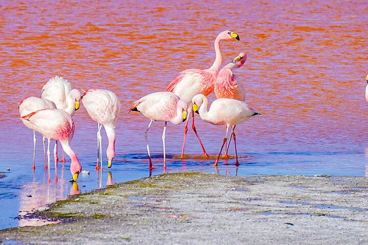 7 giorni di saline di Uyuni e avventura nel deserto da La Paz — 4