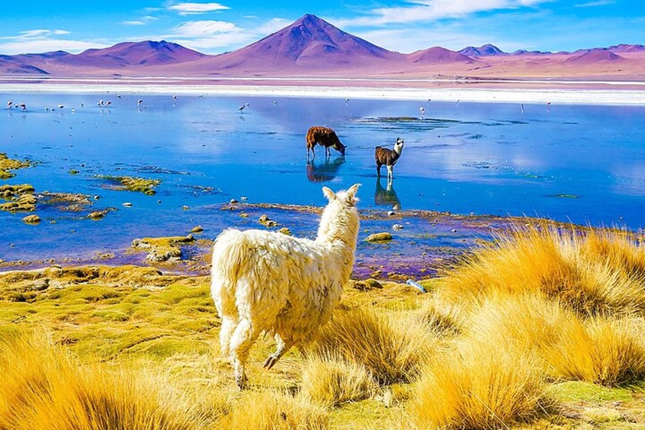 7 giorni di saline di Uyuni e avventura nel deserto da La Paz — 5
