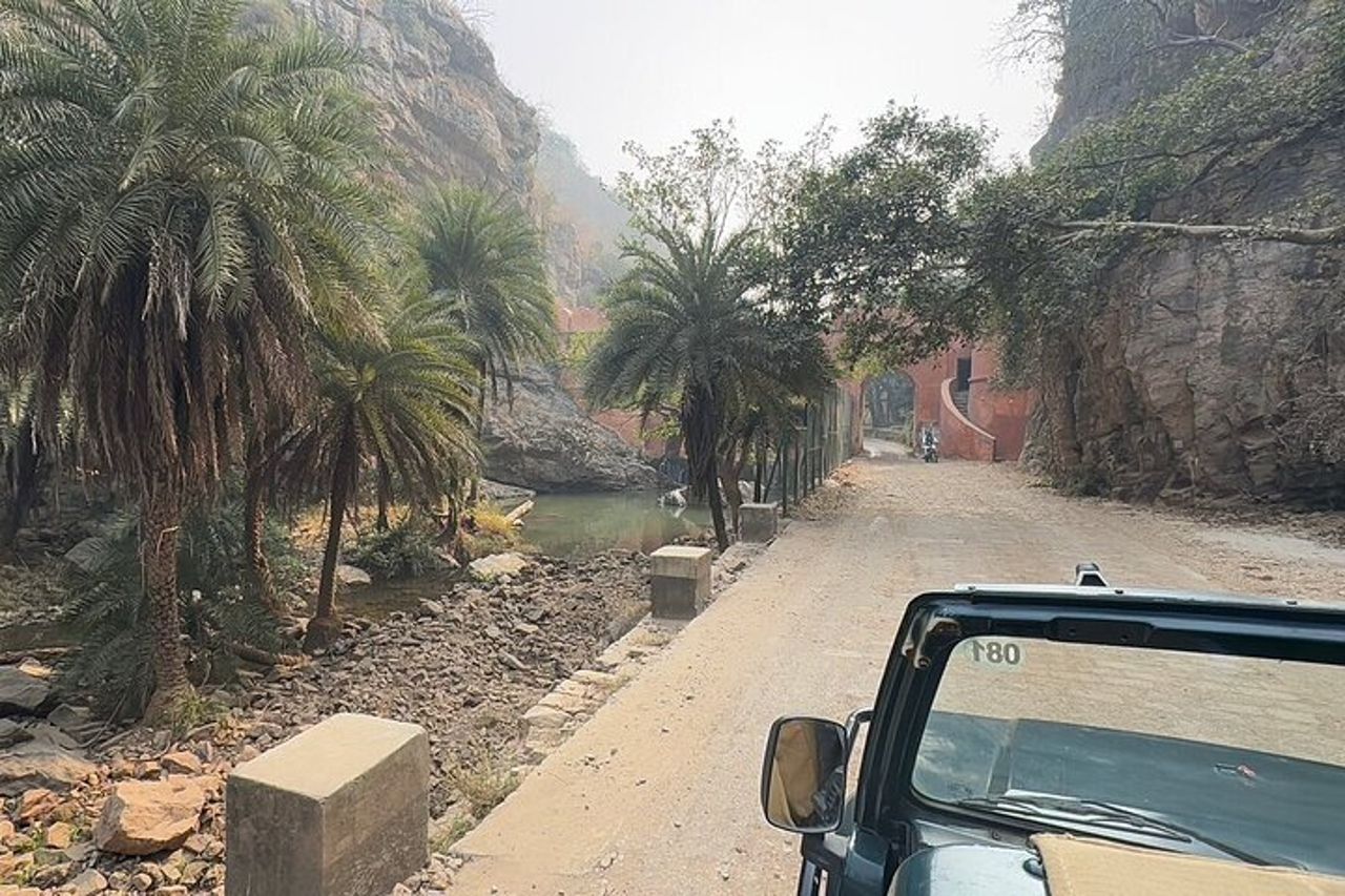 Ranthambore : Safari condiviso in Canter o veicolo zingaro Tutto Incl. — 4