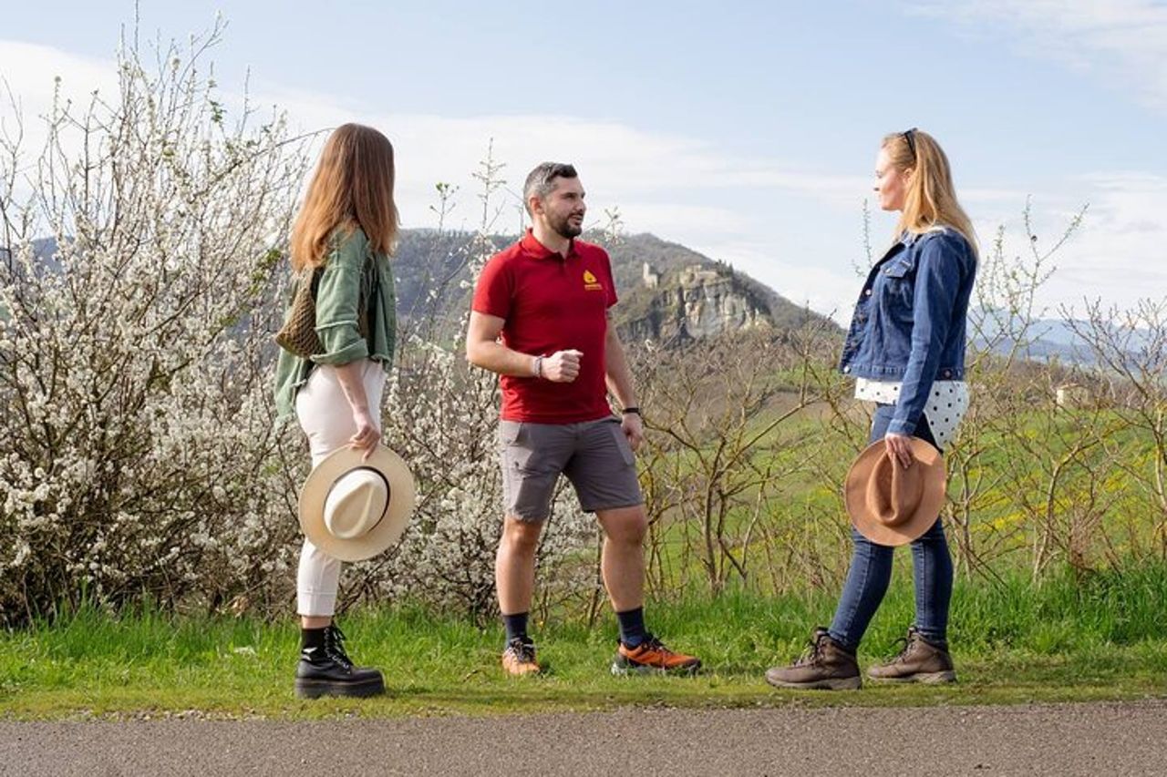 Tour dell'Appennino per piccoli gruppi, fattoria e all'aperto con castello — 2