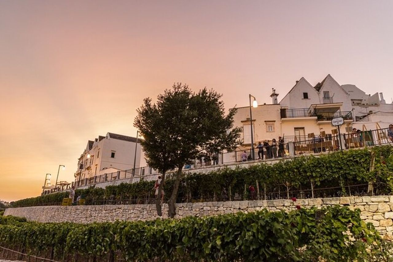 Alberobello, Locorotondo & Ostuni: tour privato di un'intera giornata — 5