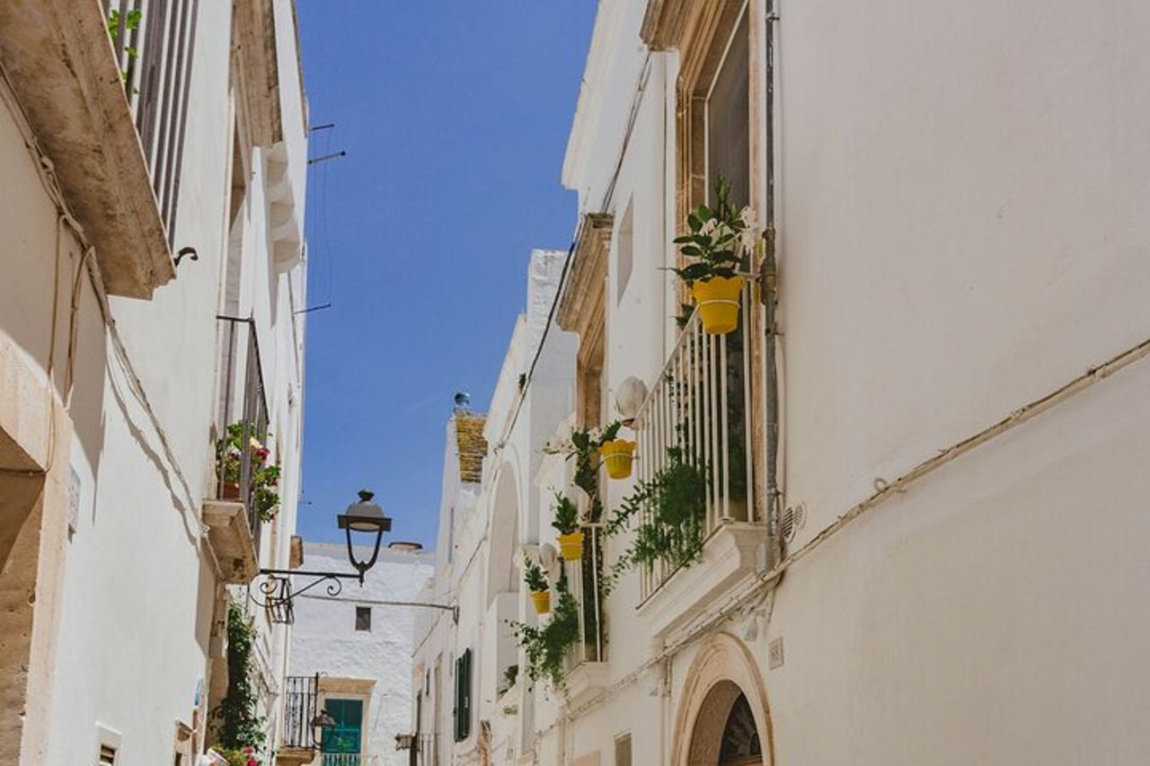 Alberobello, Locorotondo & Ostuni: tour privato di un'intera giornata — 2
