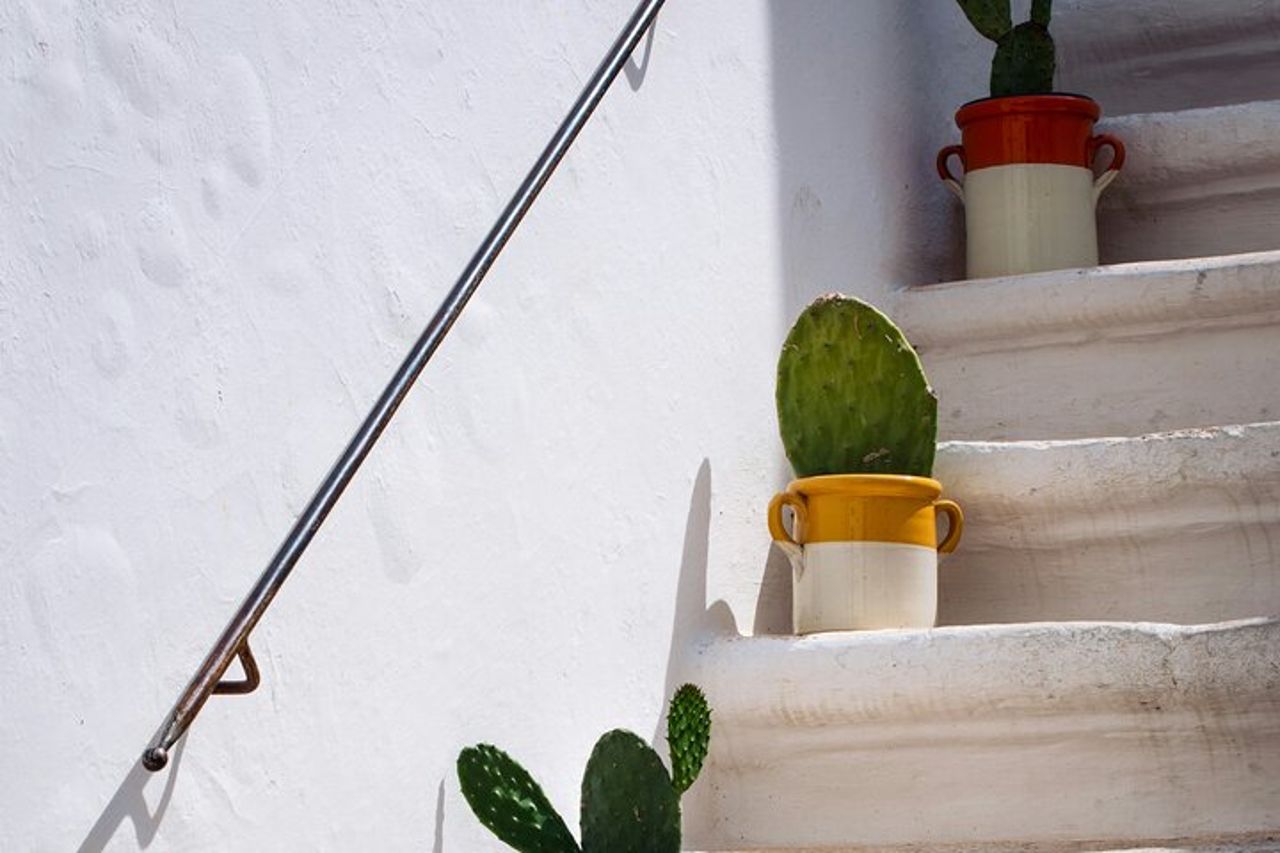 Alberobello, Locorotondo & Ostuni: tour privato di un'intera giornata — 6
