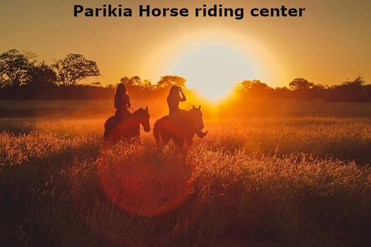 Passeggiate a cavallo a Paros — 2