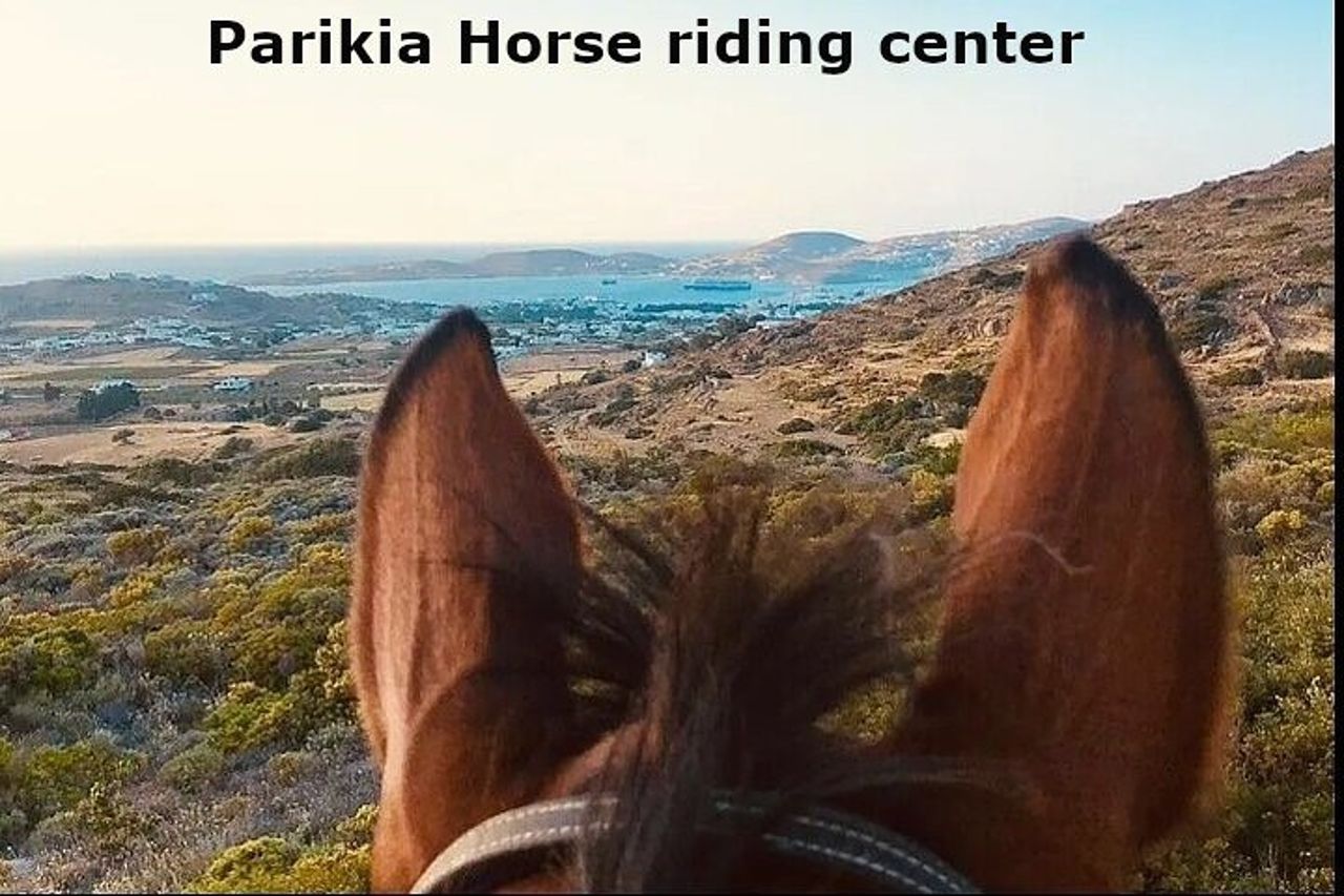 Passeggiate a cavallo a Paros — 4