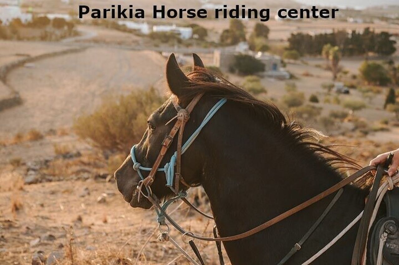 Passeggiate a cavallo a Paros — 8
