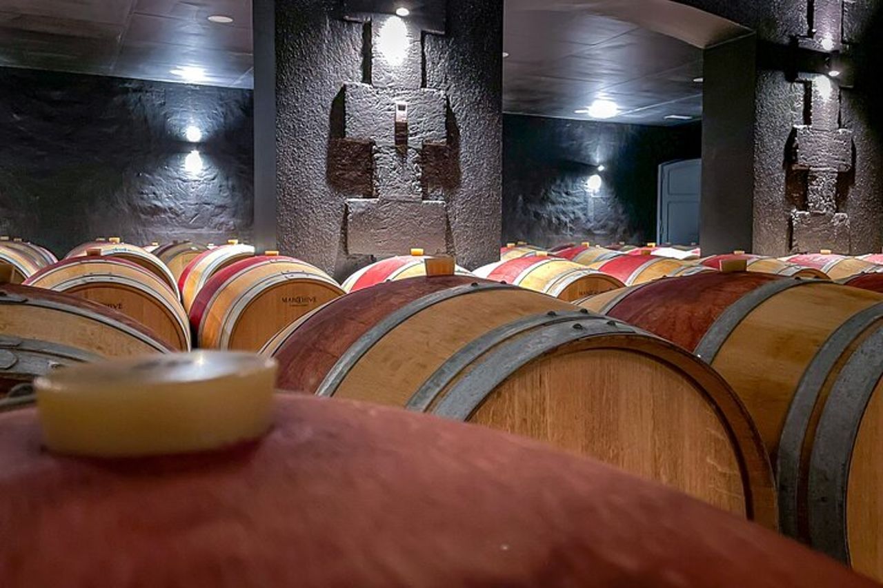 Tour di un'intera giornata a Saint-Emilion e Margaux, da Bordeaux — 4