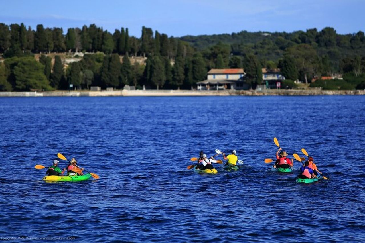 Tour in kayak di Brioni con biglietto per l'intera giornata Brioni incluso