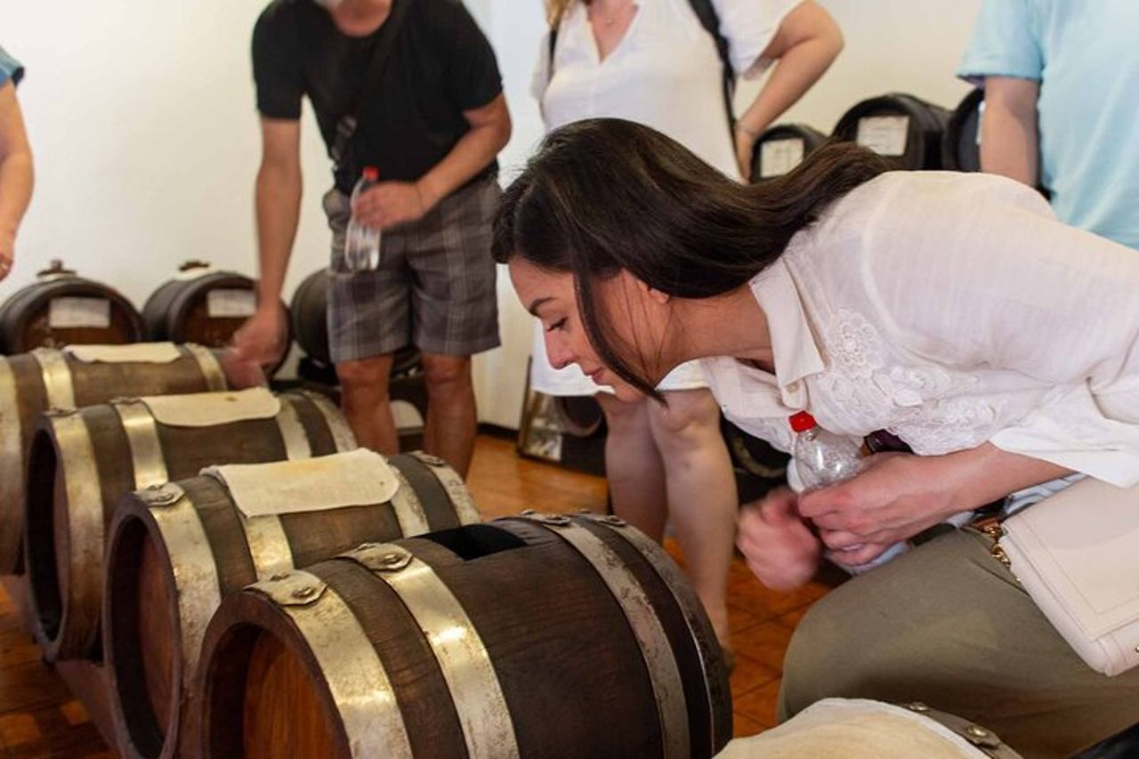 Tour gastronomico di Modena con visita esclusiva all'aceto balsamico Acetaia — 7
