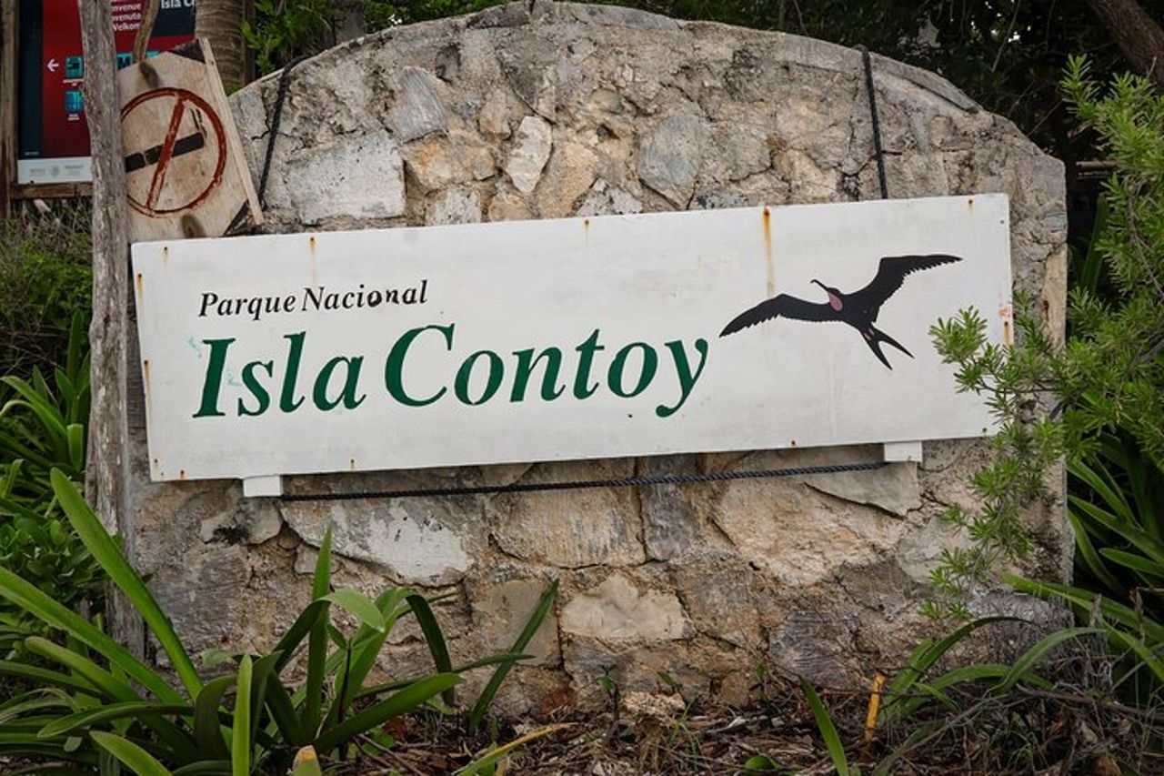 Beach Escape : Isla Contoy e Isla Mujeres con snorkeling. — 4