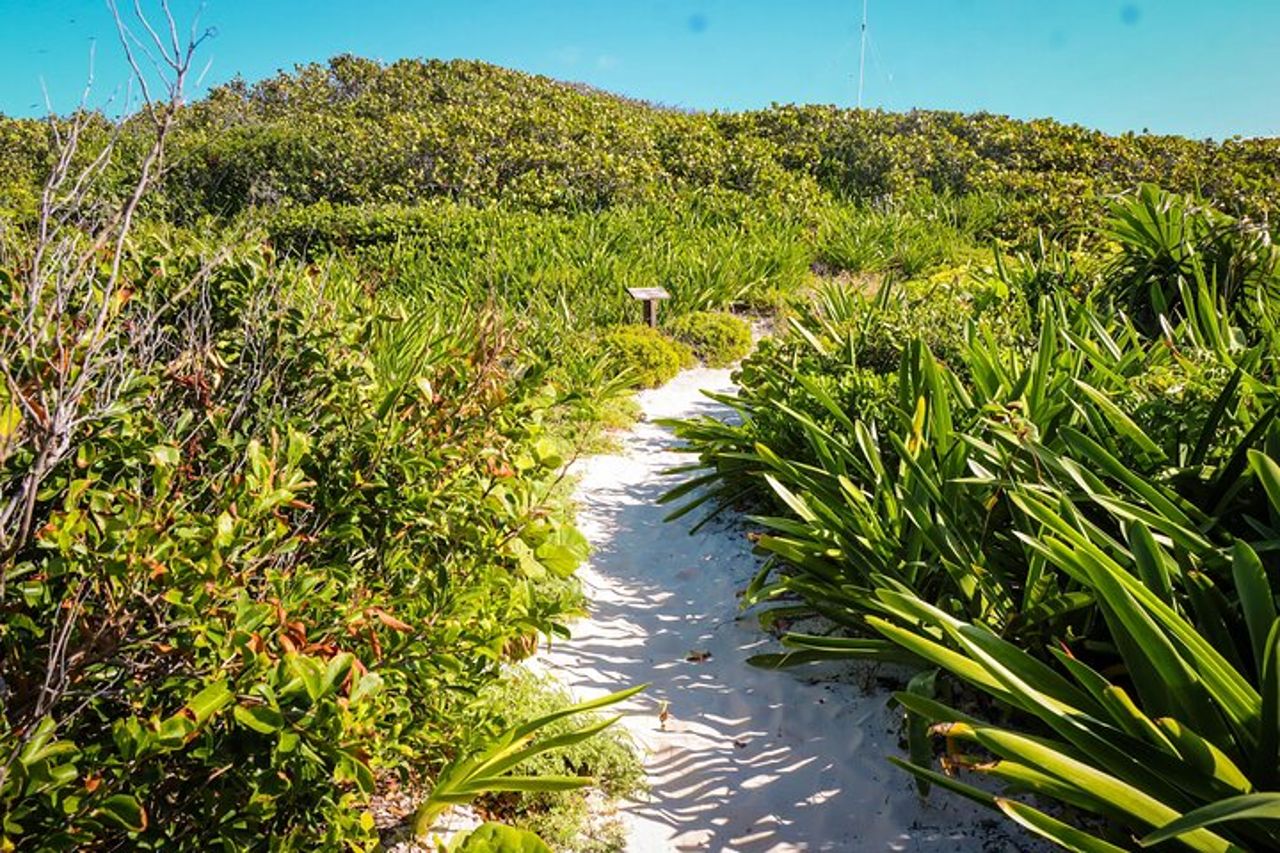 Beach Escape : Isla Contoy e Isla Mujeres con snorkeling. — 9