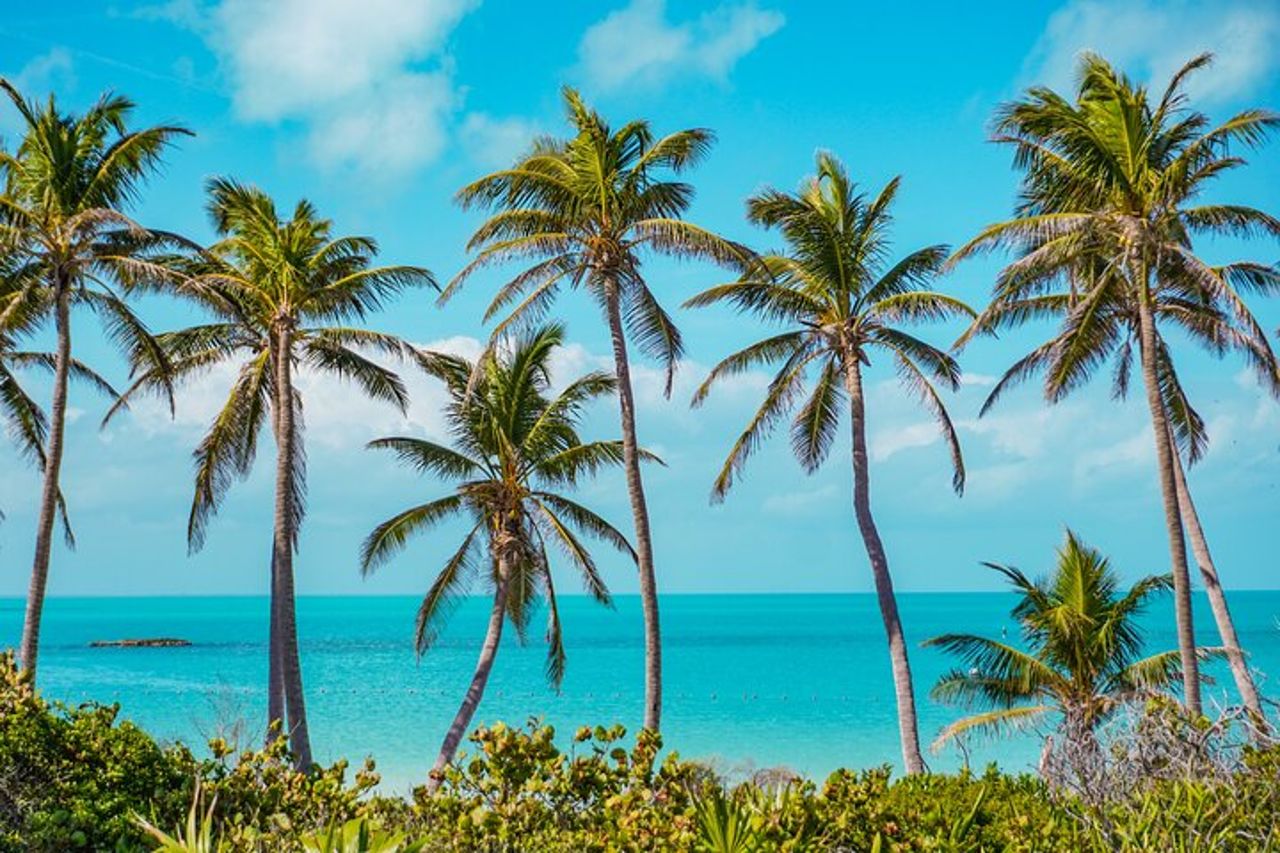 Beach Escape : Isla Contoy e Isla Mujeres con snorkeling. — 7