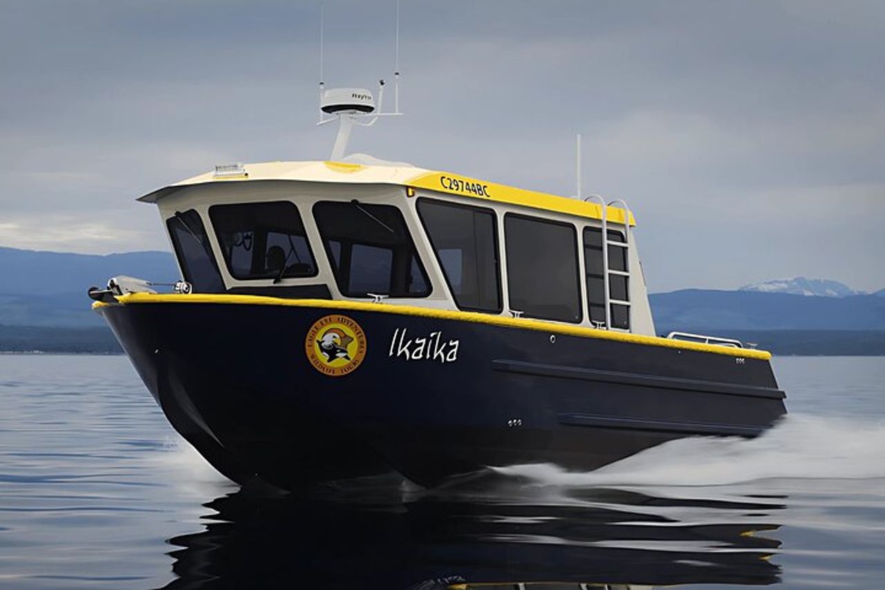 Campbell River, BC: Tour di osservazione delle balene di 6 ore con pranzo incluso — 4