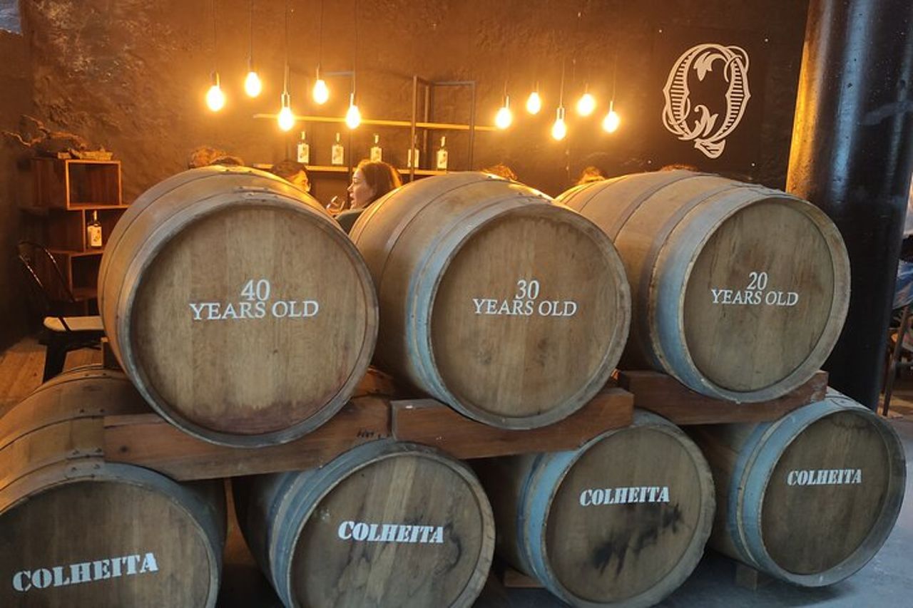 Tour dei Port Wine Lodges con 7 degustazioni di vino di Porto (Inglese)