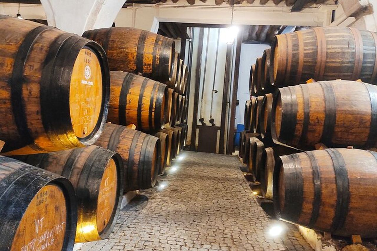 Tour dei Port Wine Lodges con 7 degustazioni di vino di Porto (Inglese) — 9