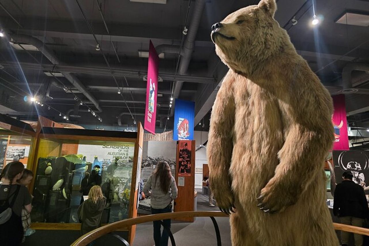 Tour estivo/autunnale delle attrazioni principali di Fairbanks — 7