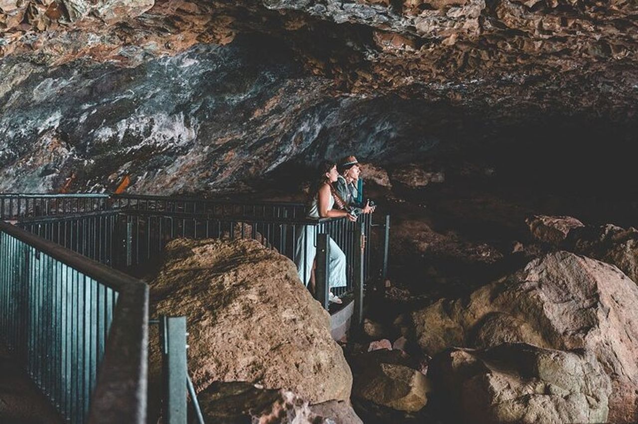 Springbrook andTamborine Rainforest Tour con ponte naturale e grotta dei vermi incandescenti — 9