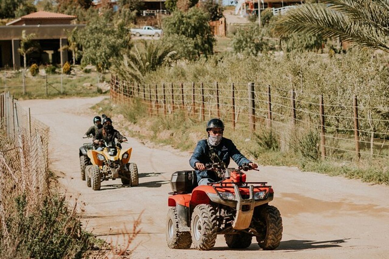 Esperienza di tour in fuoristrada più visita in cantina a Baja — 2