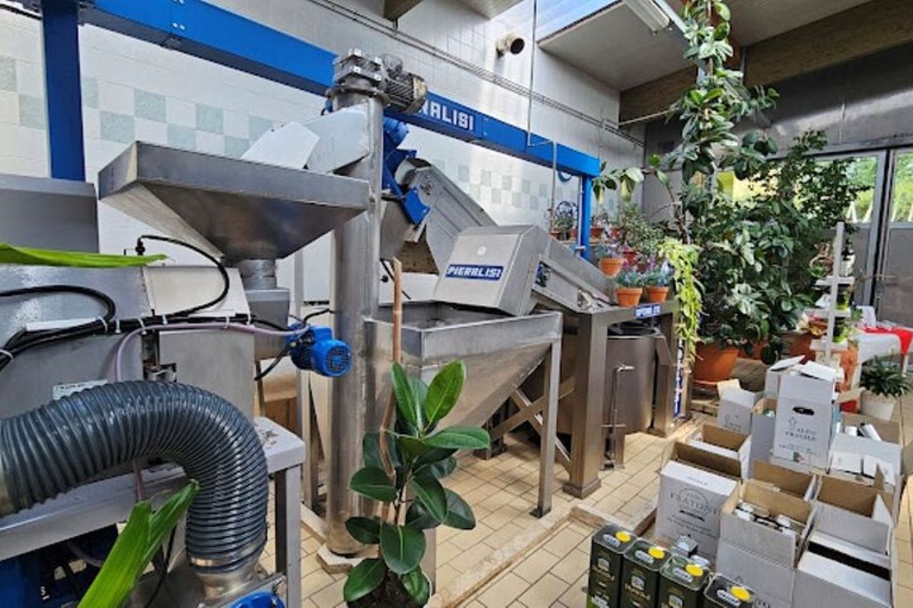 Tour dell'olio d'oliva di Ascoli con degustazione e abbinamento di cibo locale — 7