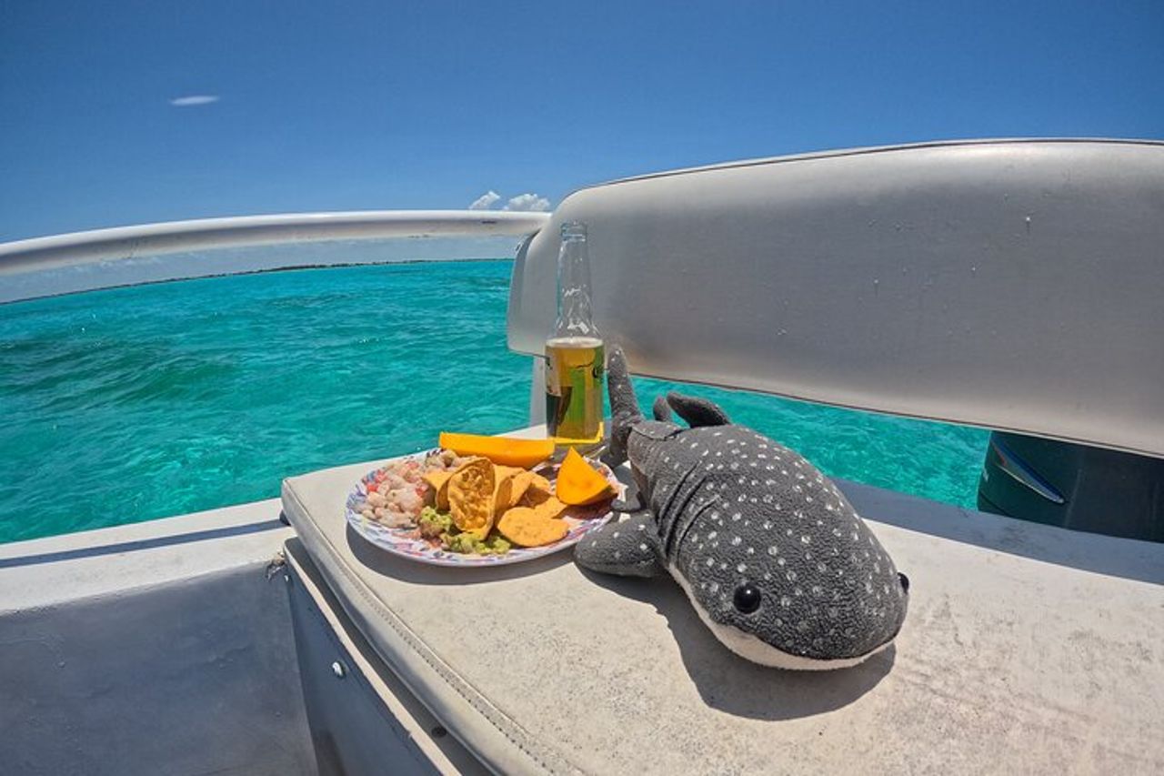 Tour degli squali balena da Cancun, Playa del Carmen, Tulum e Riviera Maya — 9
