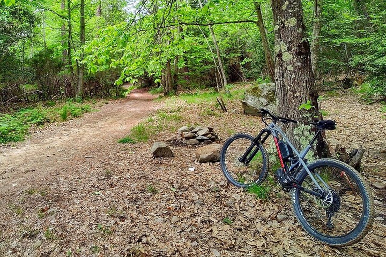 Tour delle Viste Panoramiche da Sanremo a Bajardo in e-Bike — 2