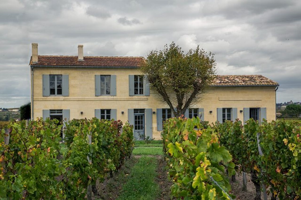 Scoprire i vini biologici e biodinamici di Clos Systey — 8