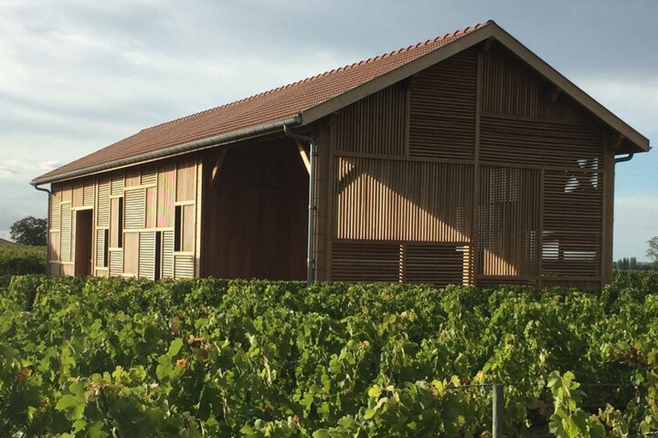 Scoprire i vini biologici e biodinamici di Clos Systey — 9