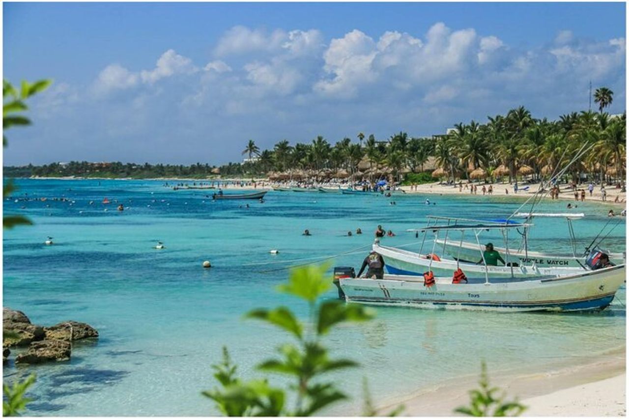 Tour di mezza giornata di tartarughe marine e snorkeling Cenote da Cancun e Riviera Maya — 2