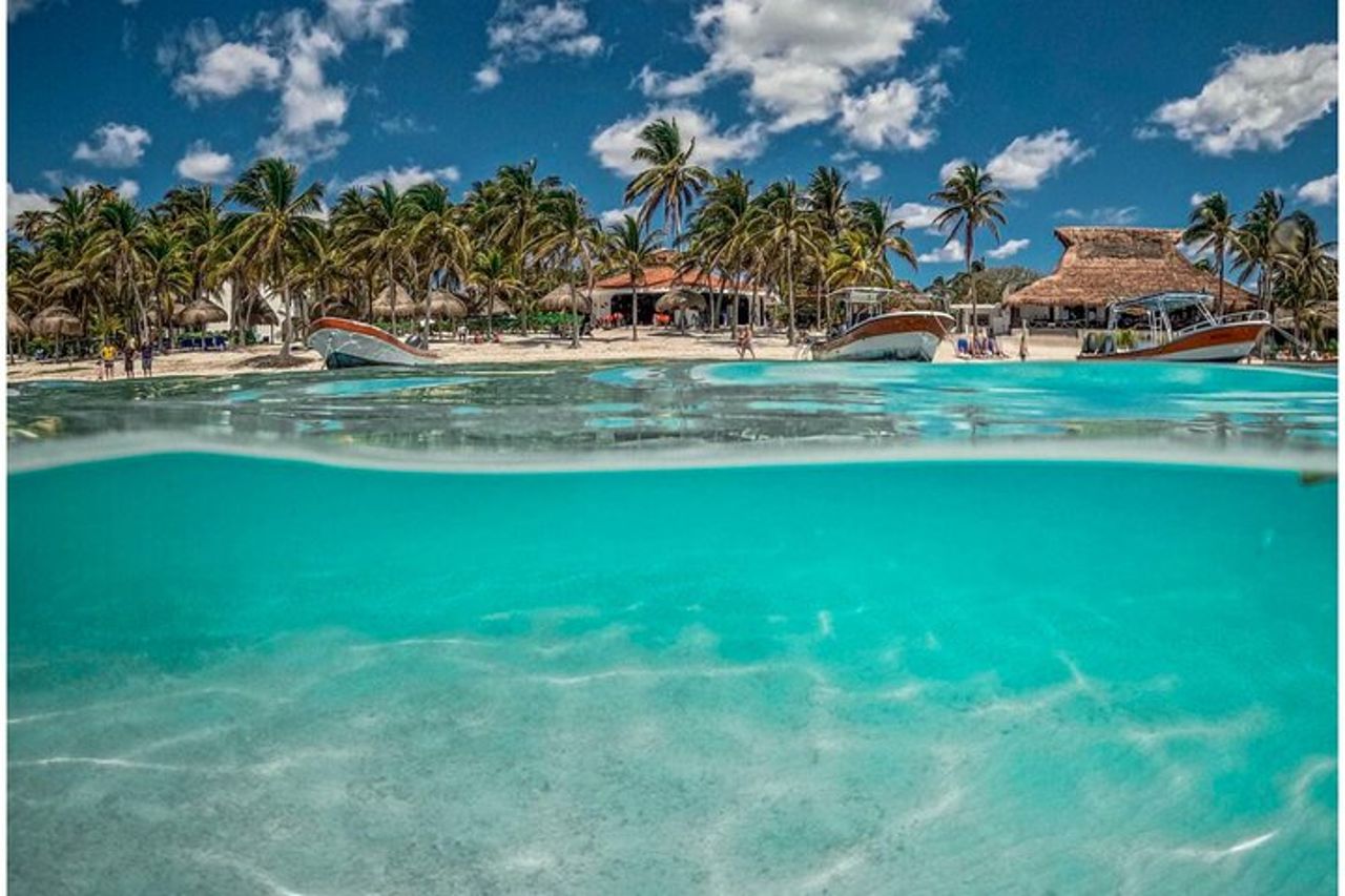 Tour di mezza giornata di tartarughe marine e snorkeling Cenote da Cancun e Riviera Maya — 3