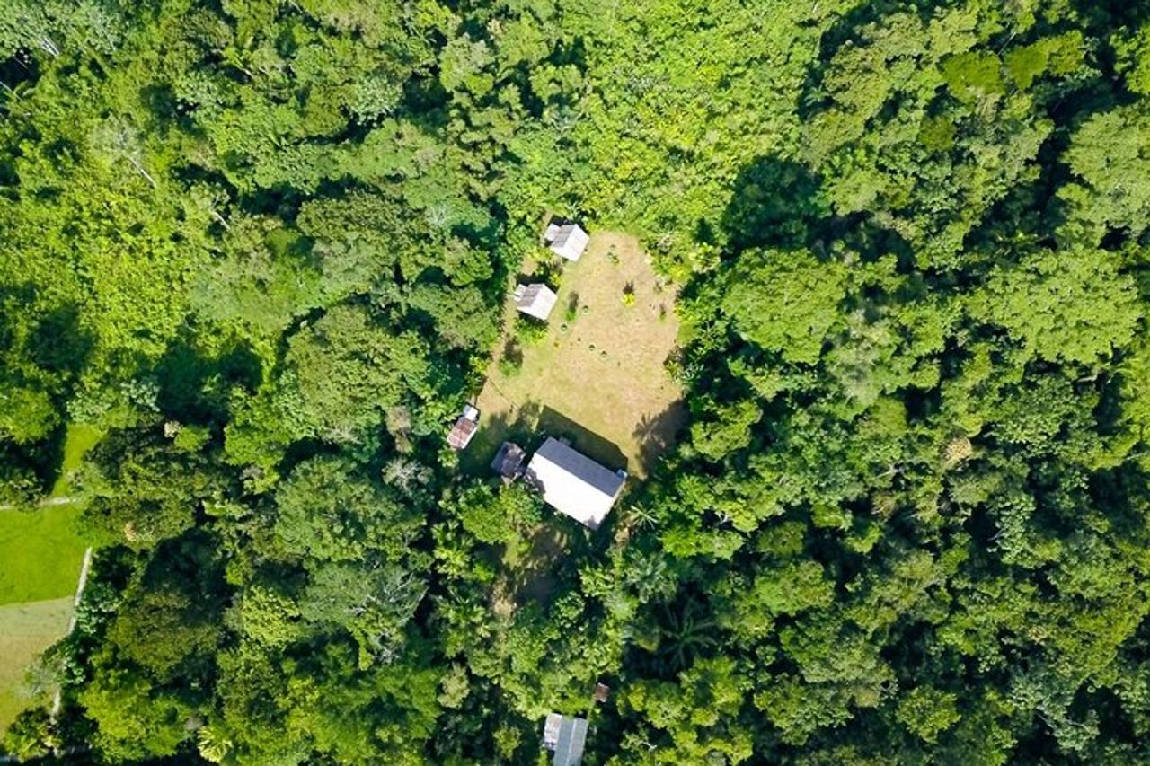Amazon Paradise 3 giorni e 2 notti Ecolodge — 6
