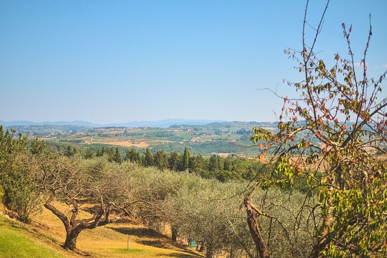 Firenze: Tour privato del Chianti di un'intera giornata e pranzo in cantina opzionale — 8