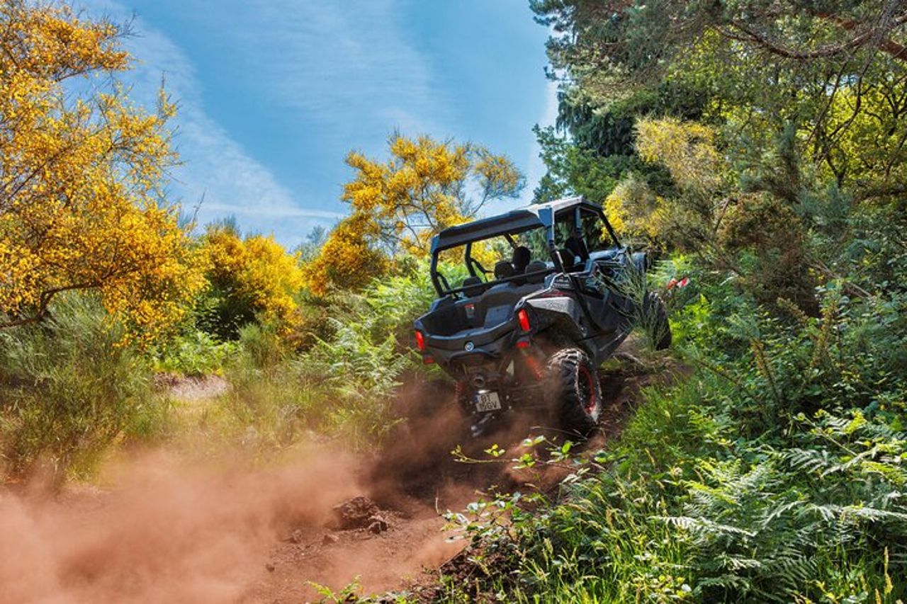 Tour in Buggy di 2 ore • (prezzo per veicolo) — 2