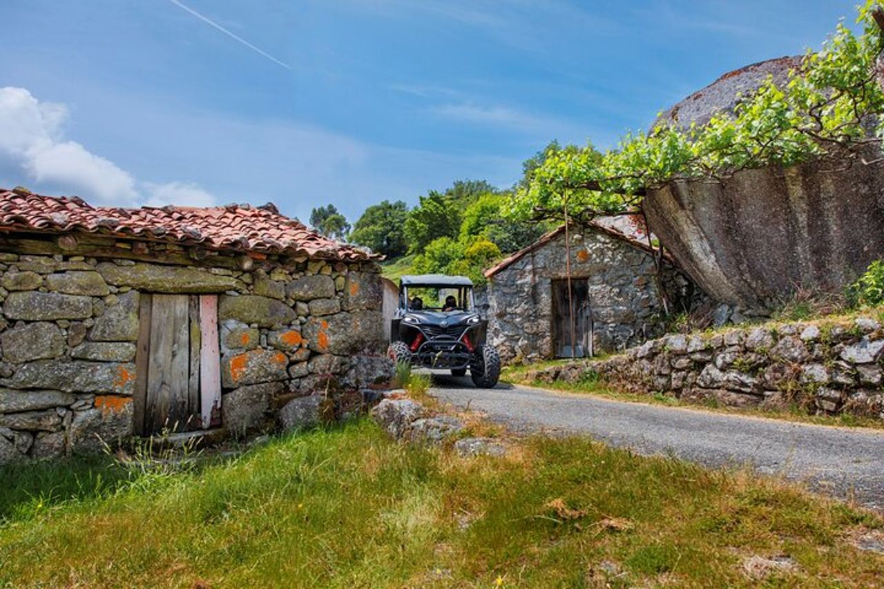 Tour in Buggy di 2 ore • (prezzo per veicolo) — 9