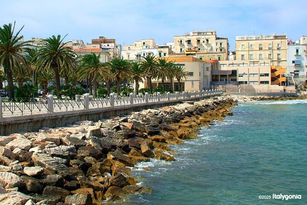 Alla scoperta dei tesori di VIESTE: tour privato, bellezza e fascino — 9