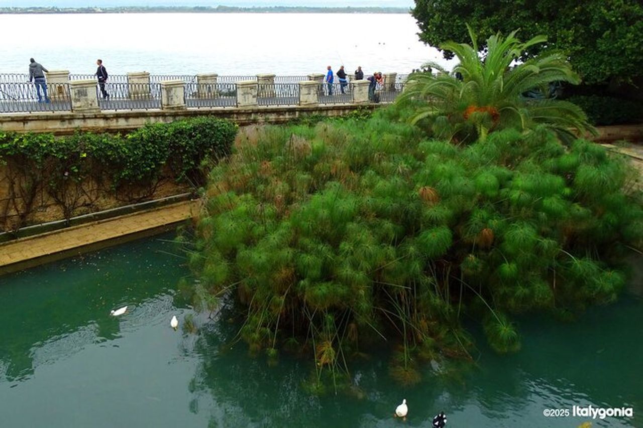 Tour privato di Siracusa: scopri le bellezze di Ortigia! — 7