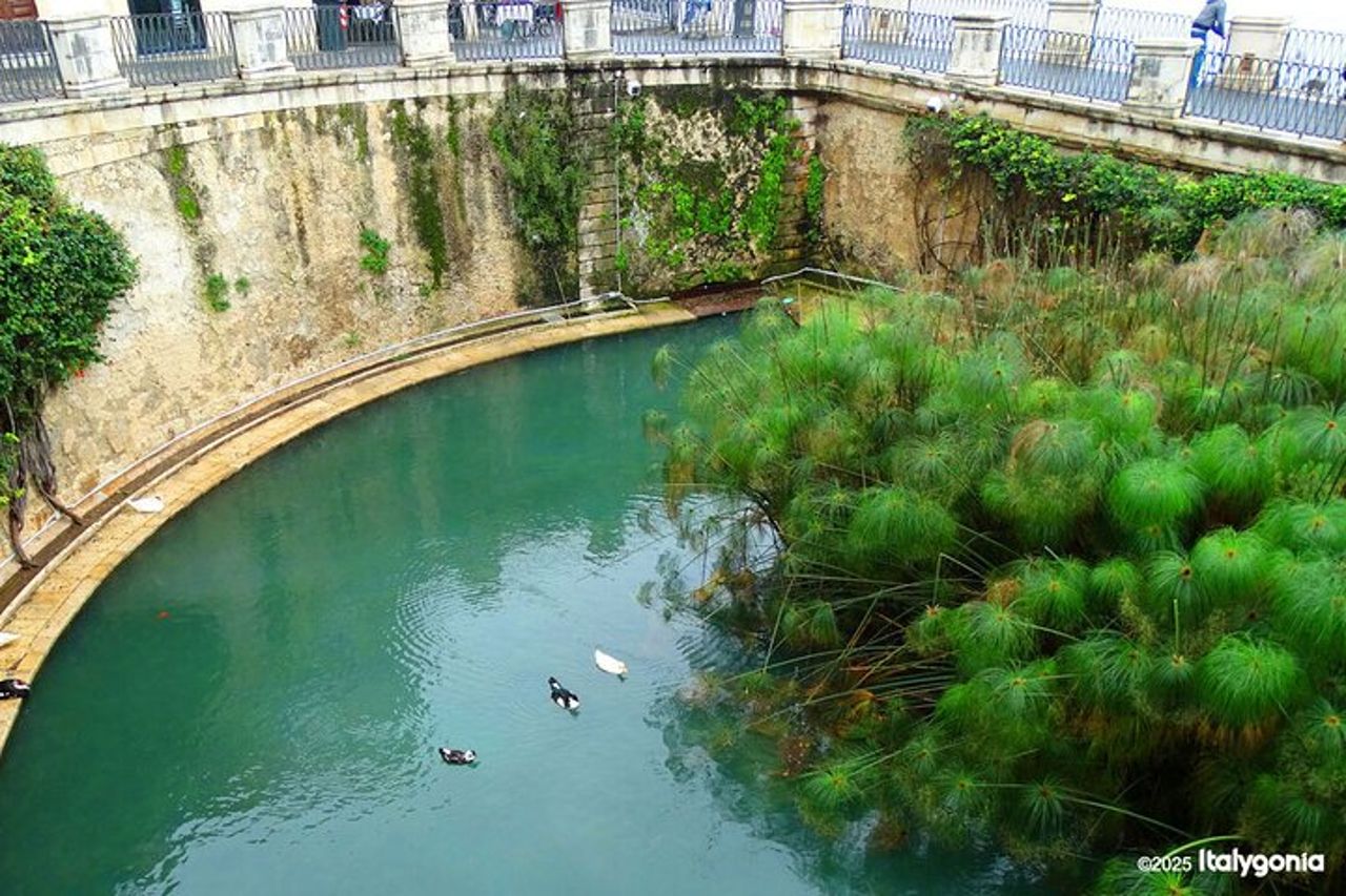 Tour privato di Siracusa: scopri le bellezze di Ortigia! — 8
