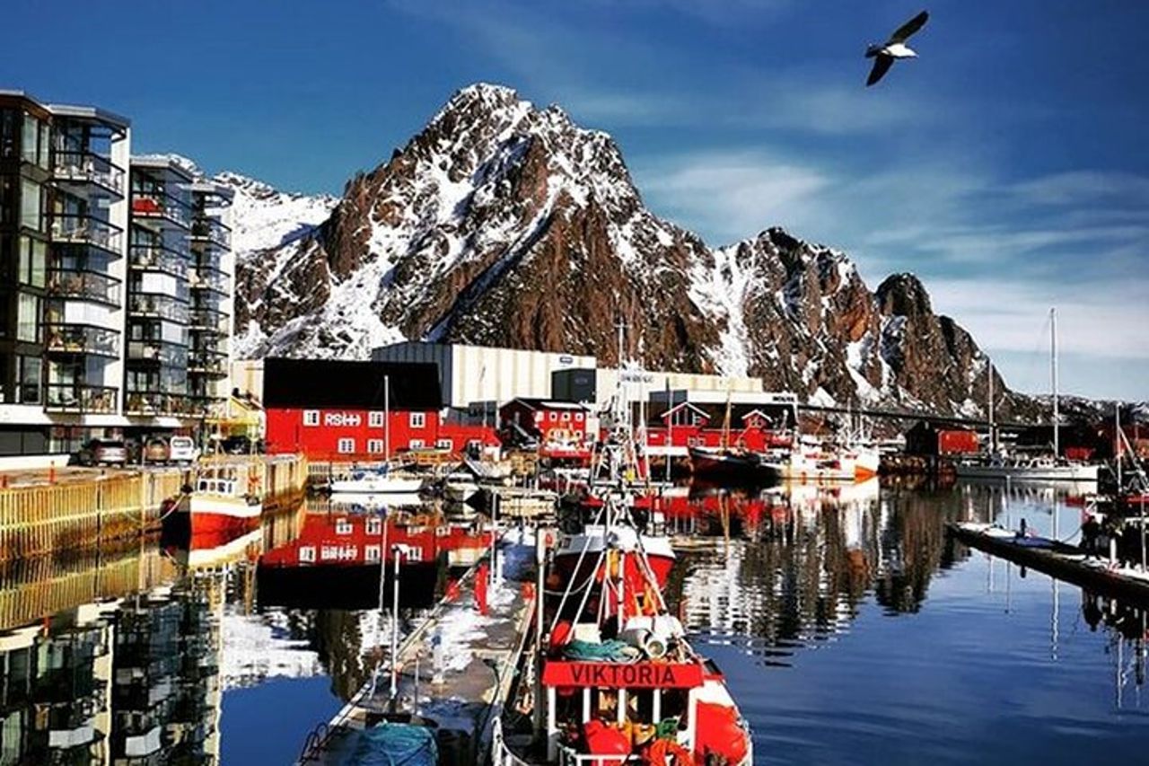 Hurtigruten/Havila Giornata intera Lofoten a Stamsund via Reine/Hamnøy — 3