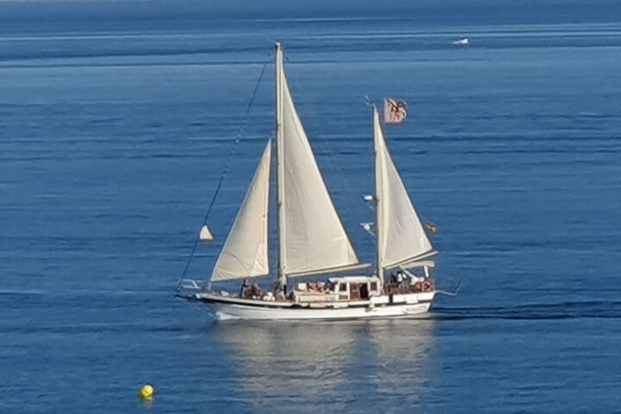 Avventura di osservazione dei delfini nella baia di Estepona — 8