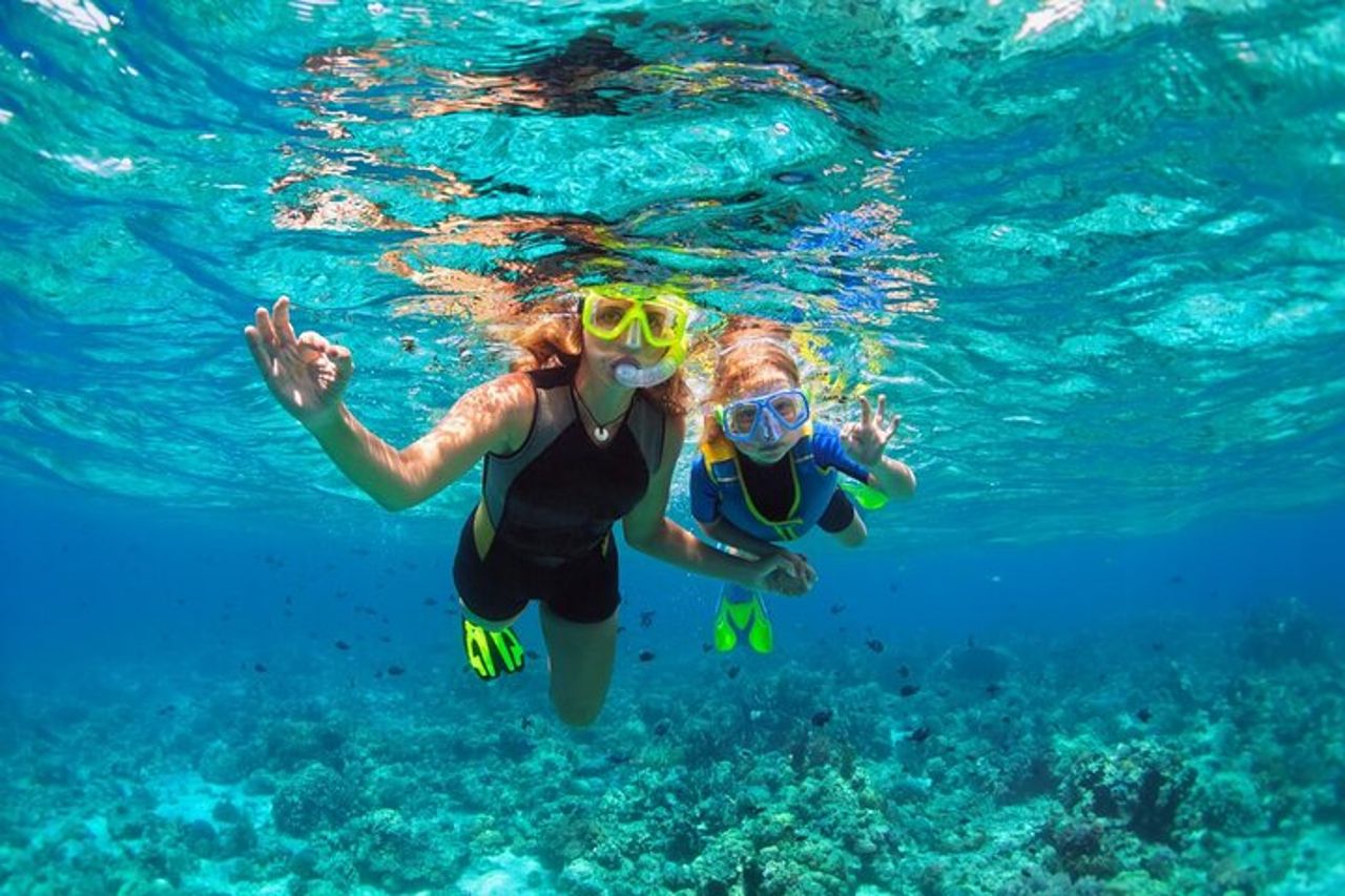 Nuoto a Cadaqués (Nuova audioguida gratuita) — 6